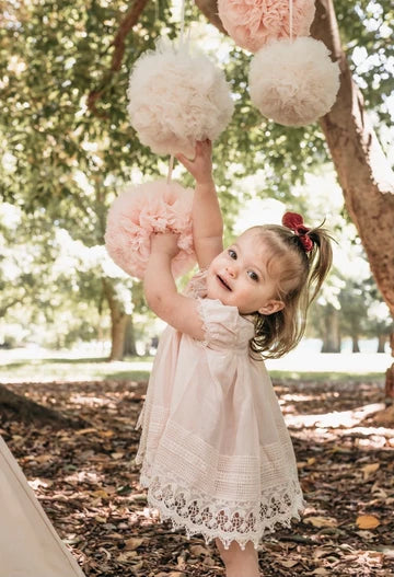 Sugar Plum Heirloom Dress - Blush Pink