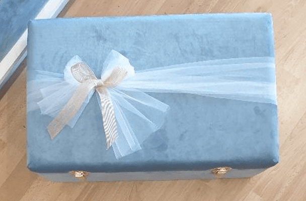 Baby Blue Velvet Trunk