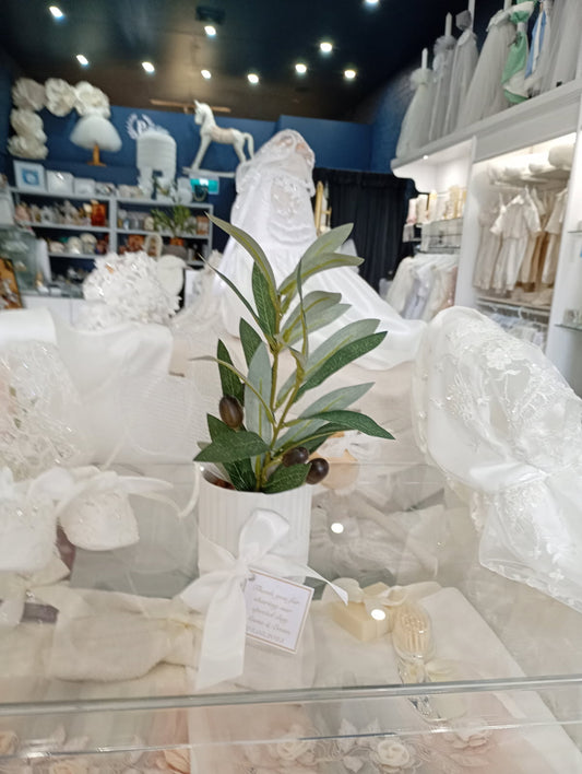 Bomboniere - Faux Mini Olive Tree - available for pick up only