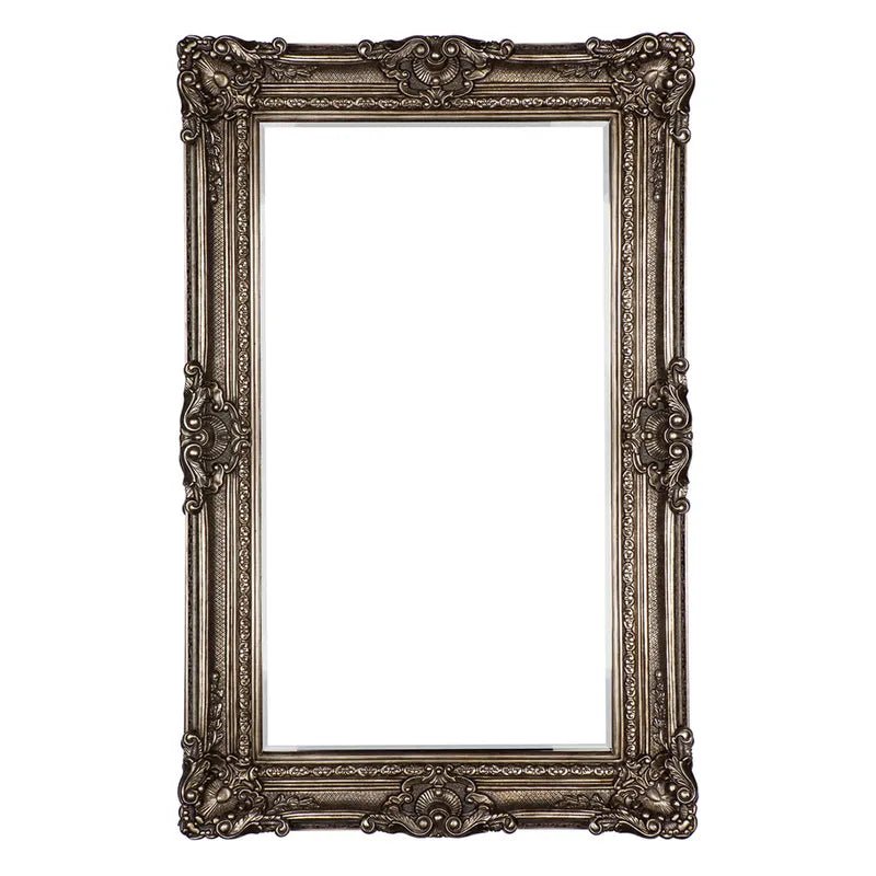 Alexandra Floor Mirror - Antique Silver - 3